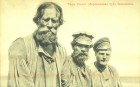 Типы России Землекопы Типы России Землекопы