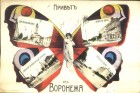 Бабочка Бабочка