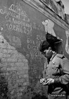 Летчик Гусев у развалин дома случайно нашел адрес матери на стене. Воронеж. Июнь 1943 года Летчик Гусев у развалин дома случайно нашел адрес матери на стене. Воронеж. Июнь 1943 года